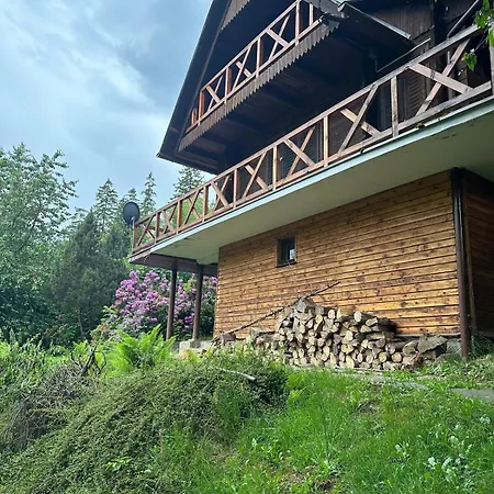 木屋 Gorski W Szczyrku 什切尔克